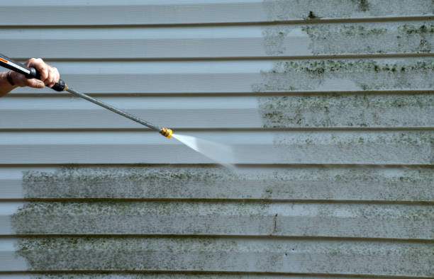 Best Gutter Cleaning  in Parksdale, CA