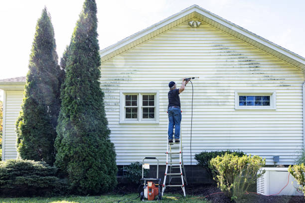 Best Driveway Pressure Washing  in Parksdale, CA